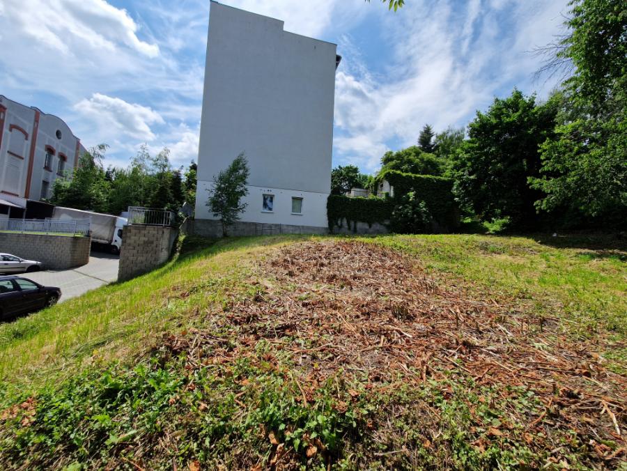 Sekání silně zarostlého pozemku Opava u penny